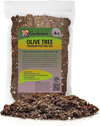 Gardenera Olive Tree Premium Potting Mix - Create a Mediterranean Paradise in Your Backyard - 4 Quart
