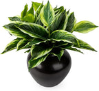 4Pcs 17.7inch Artificial Halcyon Hosta Perennial Plants Faux Green Dieffenbachia Plant Greenery Aesthetic House Plants Outdoor Shrubs Indoor Office Yard UV Resistant Planter Filler