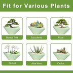 Ceramic Bonsai Pots - Large Succulent Planter 13 Inch Plant Pot Indoor Succulent Pot with Drainage Hole Outdoor Planter Bonsai Tree Pot for House Home Garden Office Decor Green