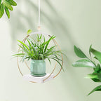 hismocal Hanging Planters for Indoor Plants, Plant Hanger with Sturdy Wood Base,Modern Boho Macrame Plant Hanger,Wall Ceiling Window Stands(Plants/Pots Not Included)