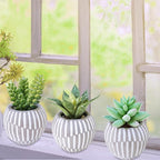 Winlyn Set of 3 Artificial Succulents Plants in Mini Gray and White Geometric Cement Pots Faux Potted Plants Aloe Pachyphytum Succulent Donkey Tail Small Plant for Home Office Table Shelf