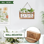 Plant Terrarium Propagation Stations Faith Hope Love Hydroponics Home Garden Decoration Gift for Women with Wooden Stand Heart Shaped Colored Glass Vase