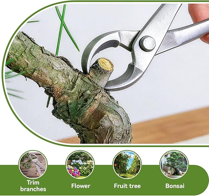 Bonsai Cutters, 8.5inch Concave Cutter Bonsai Tools Stainless Steel Bonsaii Tree Knob Cutter Gardening Concave Pruner Tree Branch Cutter Long Reach Bonsaii Tools