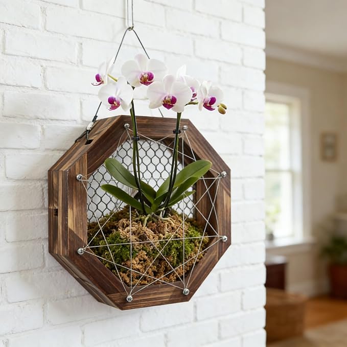 10.5 Inches Staghorn Fern Mounting Kit Orchid Mounting Wood Hanging Plant Frame Wall Planter Plant Holder Basket for Orchids Staghorn Fern Tropical Plants (265x265x60mm)