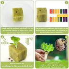 Halatool 1 Inch Rockwool Cubes Garden Rock Wool Stonewool Grow Cubes Starter Plugs for Hydroponics Soilless Cultivation Clone Plants Germination Start (4 Sheets, 200 Plugs in Total)