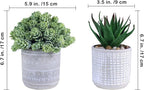 Set of 3 Assorted Small Potted Succulent Plants Fake Aloe String of Pearls Hops Succulents in Gray Geometric Concrete Ceramic Pots for Gifts Modern Home Office Desk Table Indoor Outdoor Greenery Decor