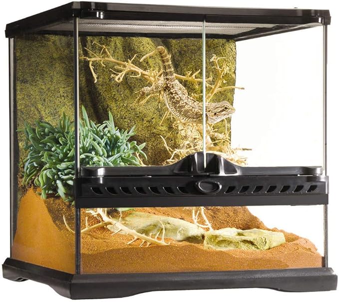 Exo Terra Glass Terrarium Kit, for Reptiles and Amphibians, Mini Wide, 12 x 12 x 12 Inches, PT2600A1