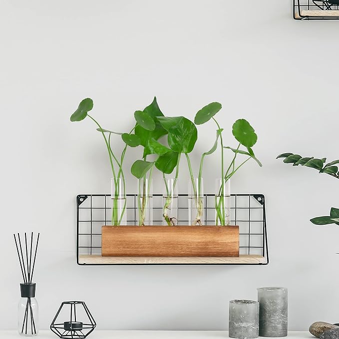 YIBOT Propagation Stations, Plant Terrarium with Wooden Stand, 5 Glass Test Tubes Vases, Birthday Gardening Gifts for Women Mom Plant Lovers, Home Office Desk Decor
