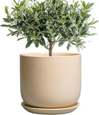 Ceramic Planter - Round Modern 8 Inch Plant Pot with Drainage Hole and Saucer for Flowers Herb, Home House Office Room Apartment Decor, Yellow