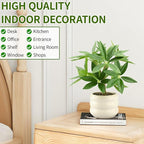 Small Money Tree Bonsai 11.4 inch Artificial Desk Plant in White Ceramic Pot, Realistic Indoor Faux Potted Pachira Money Plant for Home Office Living Room Decor(Maintenance Free)