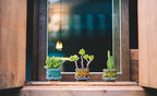 Cute Ceramic Succulent Garden Pots, Planter with Drainage and Attached Saucer, Set of 5 -Plants Not Included (Fambe)