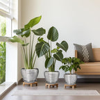 Ceramic Planters - 10 Inch 8 Inch 6 Inch Plant Pots Indoor with Drainage Holes and Saucer Mid-Century Large Planters Outdoor Flower Pots for Home Decor Set of 3 Silver