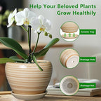 Ceramicfor Planter 8 Inch - Indoor/Outdoor Ceramic Plant Pot With Drainage Hole and Saucer, Round Modern Flower Planter for Succulents, House, Patio - Yellow