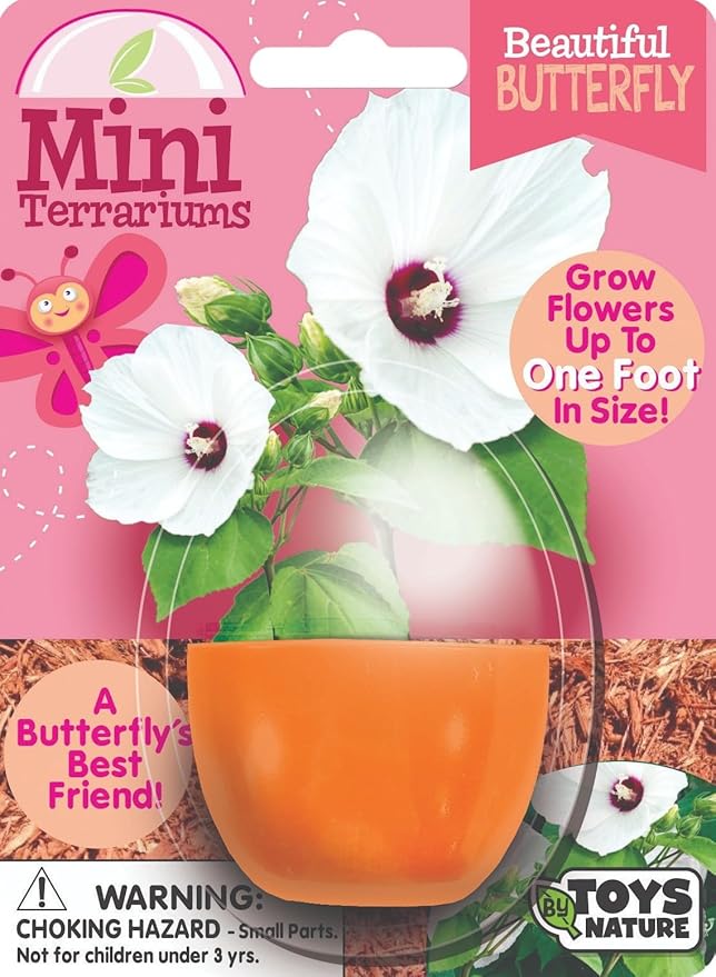 Toys By Nature Mini Terrarium Flowering Bundle, 100% USA Made Complete Starter Kit Includes 2 Each of Lobelia, Dixie Belle Hibiscus, Rose of Sharon, Easy to Grow Planting Seeds Just Add Water