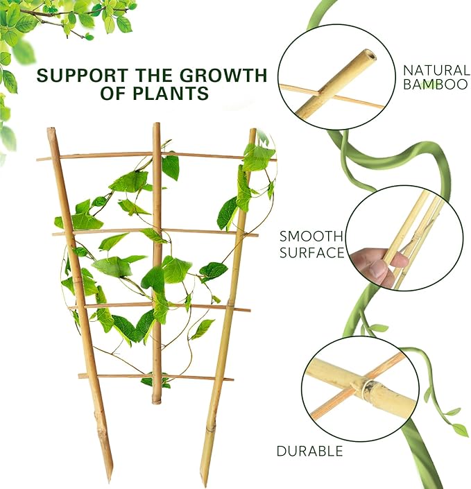 Bamboo Trellis 10 Pack, 16 Inches S3 Natural Bamboo Plant Fan Stakes, Fan-Shaped Plant Support Stand for Orchid Vines, Monarchs, Ivy and Other Plants Climbing, Help Plant Growth