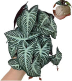 Reptile Plants,Terrarium Decor,Amphibian Habitat Decor,Artificial Plants for Gecko Chameleon Snake Tortoise Tank Accessories with Base(Xanthosoma sagittifolium)