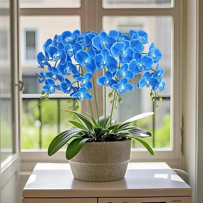Htmeing 38 Inch Artificial Phalaenopsis Flowers Branches Real Touch (Not Silk) Orchids Flowers for Home Office Wedding Decoration,Pack of 2 (Dark Blue)