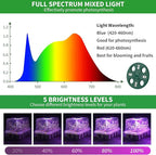 Qoolife Seed Starter Tray with Plant Light, 2 Pack Grow Lights for Seed Starting Kit with Humidity Domes, Timing Controller Adjustable Brightness for Greenhouse Propagator Station Growing Transparent