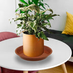 6 Pack 8 Inch Round Plant Saucers for Less 6.8 Inch Pot Indoors Outdoors Plant Trays for Pots Planter Saucer Plastic Plant Drip Tray Planter Water Tray for Potted Plants(Terracotta, 8"(6pcs))