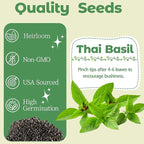 Basil Seed Pods Kit Hydroponic - Refill Herb Pod for All Indoor Herb Garden, 8 Grow Pods with Seeds of Thai Basil & Plant Food, Compatible with All Hydroponics Growing Systems
