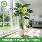 LEOBRO Plant Support Plant Stakes, 12pcs Peony Cages and Supports, Metal Garden Stakes Plant Supports, Plant Support Stakes, for Peony, Tomato, Hydrangea, Indoor Outdoor Plants, 10" W x 24" H