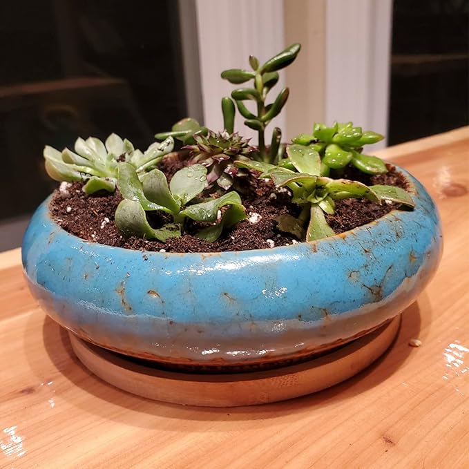 ARTKETTY Succulent Pots - 7.3 Inch Large Succulent Planters with Drainage Ceramic Bonsai Pots with Bamboo Tray, Shallow Planters for Indoor Cactus Plants Decorative Flower Plant Container