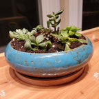 ARTKETTY Succulent Pots - 7.3 Inch Large Succulent Planters with Drainage Ceramic Bonsai Pots with Bamboo Tray, Shallow Planters for Indoor Cactus Plants Decorative Flower Plant Container