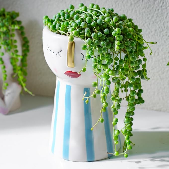 String of Pearls Live Succulent Plant (4-inch), Fully Rooted Trailing Houseplant for Hanging Baskets, Low Maintenance Home & Office Decor, Ideal Gift for Plant Lovers