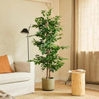 BLAINE | Ficus 71in | Decorative Artificial Plants | Large Artificial Plant | Artificial Plants for Indoor/Outdoor use | Realistic Decorative Artificial Plant for Home