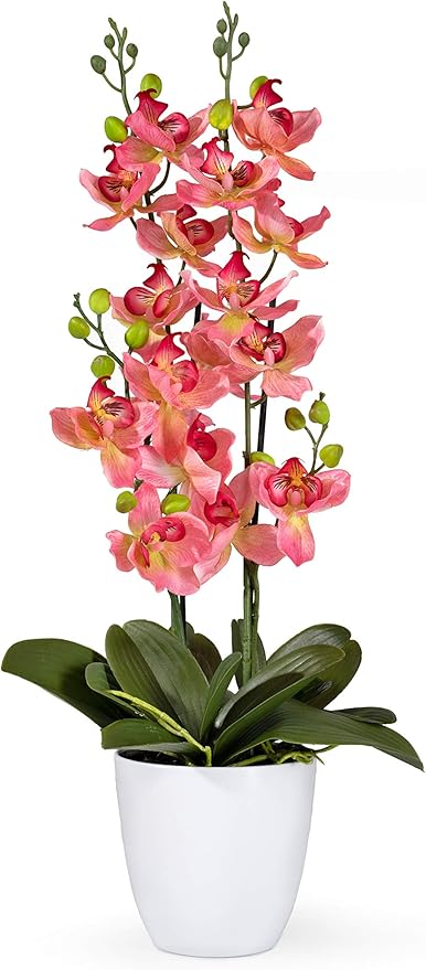 Serene Spaces Living Pink Orchid in White Ceramic Pot, Perfect for Weddings and Home Décor, Real Looking Plant for Decoration, Sold Individually, Measures 26" Tall X 6" Diameter