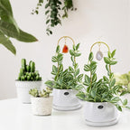 2PCS Small Plant Gold Trellis Indoor, Mini Metal Houseplant Decor Support for Potted Ivy Vine, Boho Garden Decorative Pot Climber with Agate for Climbing Hoya Pothos Philodendron Gift