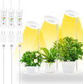 yadoker Halo Plant Grow Light, LED Growing Light with Base,Full Spectrum for Indoor Plants,Height Adjustable, Automatic Timer, 5V Low Safe Voltage,Idea for Small Plant Light(3 Pack)