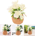 INOOMP Realistic Faux Phalaenopsis Orchid Flowers Potted Decoration for Living Room Office Bedroom Maintenance Artificial Orchid Bonsai with Lifelike Craftsmanship for Home Desktop