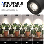 Barrina TR40a Track Grow Lights for Indoor Plants, 15°-60° Adjustable Beam Angle, 40W 4000K Full Spectrum LED Plant Light, High PPFD Spotlight Grow Lamps with Timer for House Plants, 1-Pack, Black