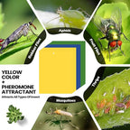 Qualirey 100 Pcs 6 x 8 Inch Sticky Traps for Plant Double Sided Sticky Trap for Gnats with Twist Ties Fly Traps for Fruit Insect Fungus Bugs Indoor Outdoor (Yellow,Blue,Green)