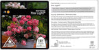 Proven Winners - Hydrangea pan. Fire Light (Panicle Hydrangea) Shrub, white & red flowers, #3 - Size Container