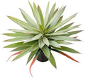 Briful Large Fake Agave Plant 17.3 Inch Artificial Yucca Potted Plants Outdoor Faux Agave Plants for Home Office Room Garden Front Porch Balcony Decor(Green)
