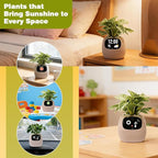 Smart Plant Pot with Visual Display – Soil Moisture, Water Level, Light & Battery Monitor, 80ml Self-Watering Reservoir, Supports 100+ Plants, Pomodoro Timer, Clock & Calendar (Pink)
