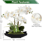 Briful Orchid Artificial Flowers 15in White Fake Orchid Silk Flowers with Black Pot Faux Phalaenopsis Arrangement for Home Office Room Table Centerpiece Modern Decor