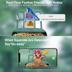 Bird Feeder with Camera,Smart Watching Birds,AI Identify Species 2K Live Video,2.4GHZ WiFi Solar Birds House Cameras for Outdoors,Motion Detection Instant Arrival Alerts,Ideal Present for Birds Lovers