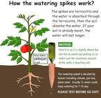 Plant Watering Devices 8 Pack Terracotta Vacation Plant Waterer Wine Bottle Watering Stakes Slow Release Plant Watering Spikes Self Watering Devices for Indoor Outdoor Plants (8)