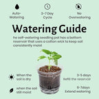 Bluepro 12 Pack 6.5 Inch Clear Self Watering Plant Pots with Bottom Water Tray & Watering Rope, Transparent Nursery Pots with Drainage for Seedlings, Herbs, and Houseplants
