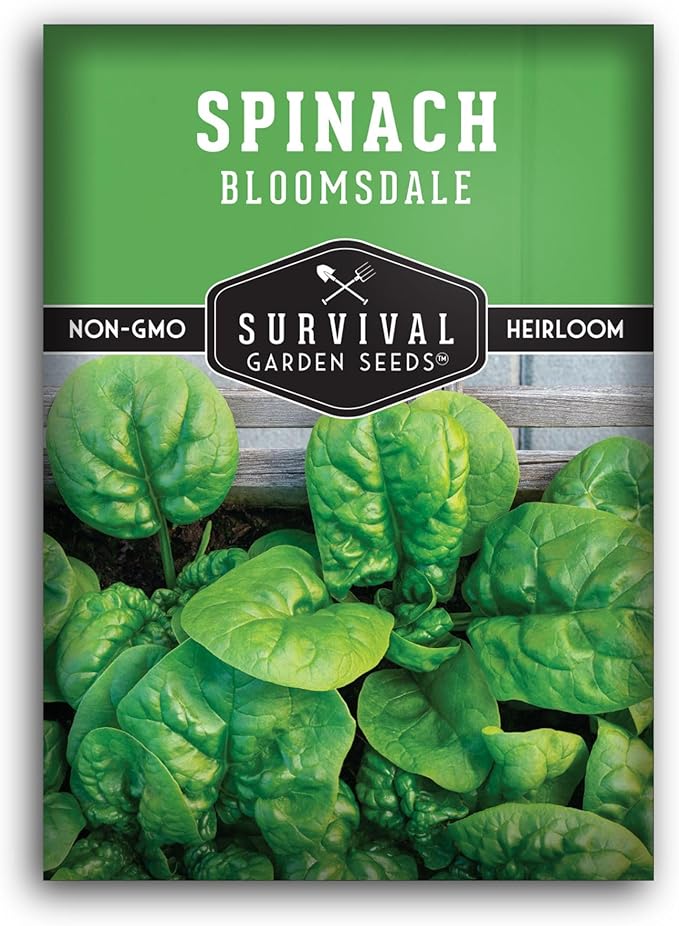 Bloomsdale Spinach Seeds for Planting | Heirloom Non-GMO Variety for Home Vegetable Gardens – Cold Hardy, Fast Growing Greens for Fall, Winter, Spring – Survival Garden Seeds (1 Pack)