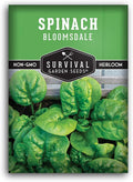 Bloomsdale Spinach Seeds for Planting | Heirloom Non-GMO Variety for Home Vegetable Gardens – Cold Hardy, Fast Growing Greens for Fall, Winter, Spring – Survival Garden Seeds (1 Pack)