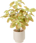 18" Fall Artificial Eucalyptus Plant,Indoor Fake Potted Plants with Ceramic Pots,Faux Plant Desk Plants for Living Room Kitchen Bathroom Office centerpieces Decor