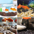 YISZM 10lbs Red River Rocks, 1-2 Inch Natural Pebbles for Indoor Plants, High Polished Decorative Stones Vase Filler Fish Tank Aquariums Landscaping Garden