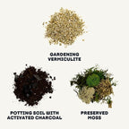 Cute Farms Terrarium Starter Kit | Moss, Vermiculite, Soil, Pebbles, Plant Food, Finishing Tools, Build and Care Guide | DIY Succulent Terrarium (Small)