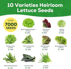 Heirloom Lettuce Seeds - 10 Varieties, Non-GMO Seeds for Planting - Includes Spinach, Kale, Arugula, Romaine, Iceberg, Buttercrunch & More, Home Garden & Hydroponic Seeds
