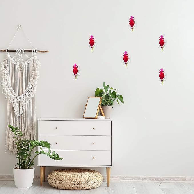 Aogigigio Air Plant Holder - 12 Pcs Acrylic Air Plants Hanger Wall Holders for Live Tropical Plant Home Office Decoration Supplies, Plants Not Included