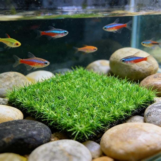 Aquarium Grass Decor 2PCS 9 inches Crab Hermit Climbing Wall Artificial Grass for TurtleTank Fish Tank Plants Landscape Ornament, Reptile Terrarium with 8 Suction Cups